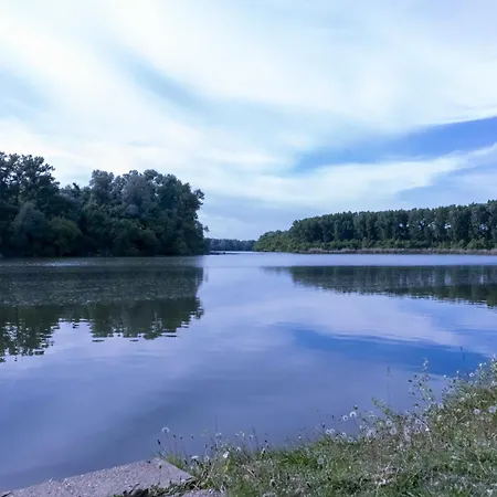 Tisza *